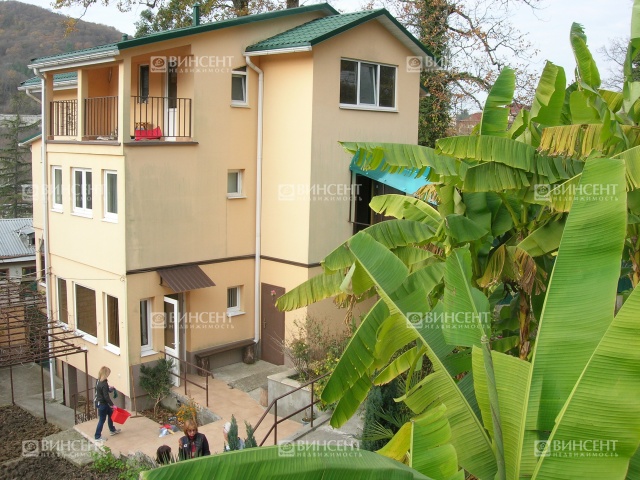 Дом в окружении зелени