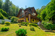 Шале в Лесу