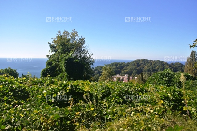 Земельный участок в Сочи на ул. Туренко