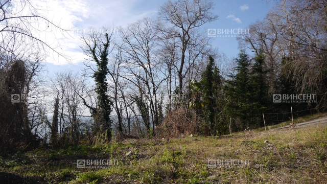 Ровный участок у моря