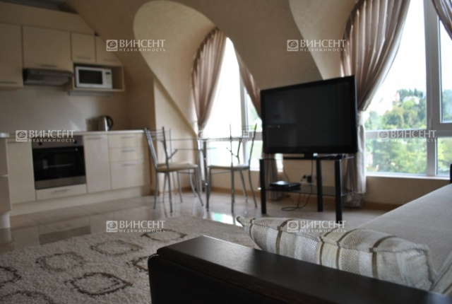 Однакомнатная на Дмитриева 5